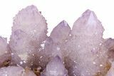 Spectacular Cactus Amethyst Crystal Cluster - South Africa #382317-2